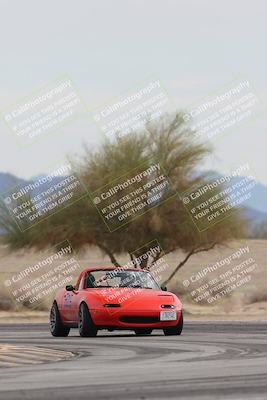 media/Jan-03-2026-SCCA SD (Sat) [[c9b9d14034]]/4-Novice Group/Session 2 Turn 4 Tree of Life/